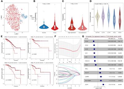 Discovery of an independent poor-prognosis subtype associated with tertiary lymphoid structures in breast cancer